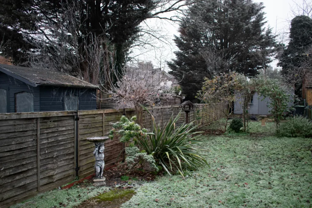Frost im Garten mit Pflanzen und Rasen