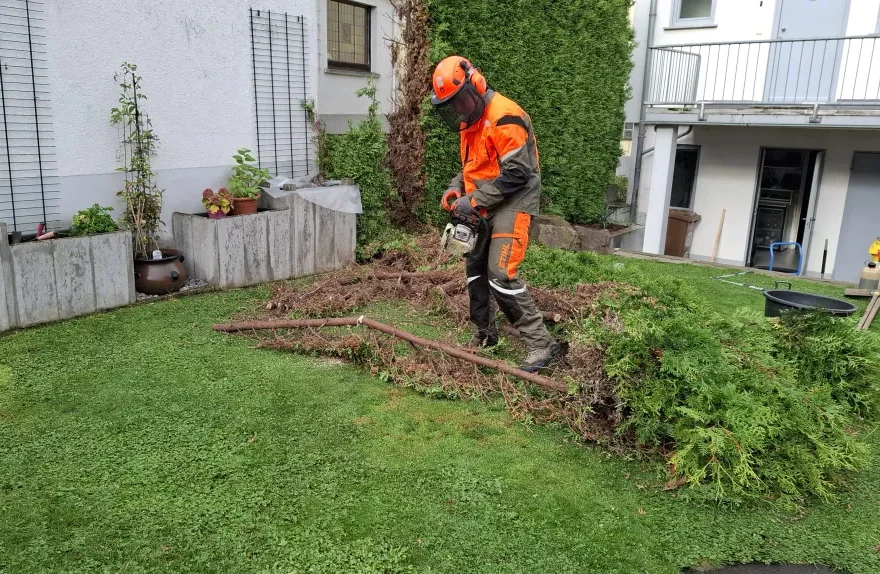 Zerkleinerung von Ästen und Baumschnitt